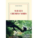 sylvain tesson